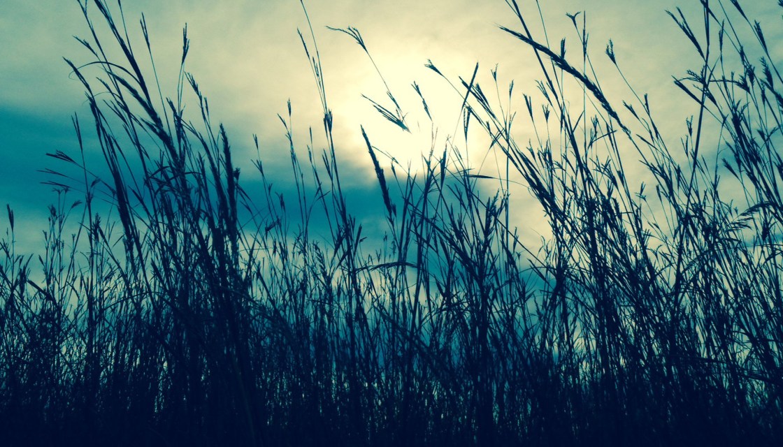 Read some of our favorite poems and flash pieces from the past year